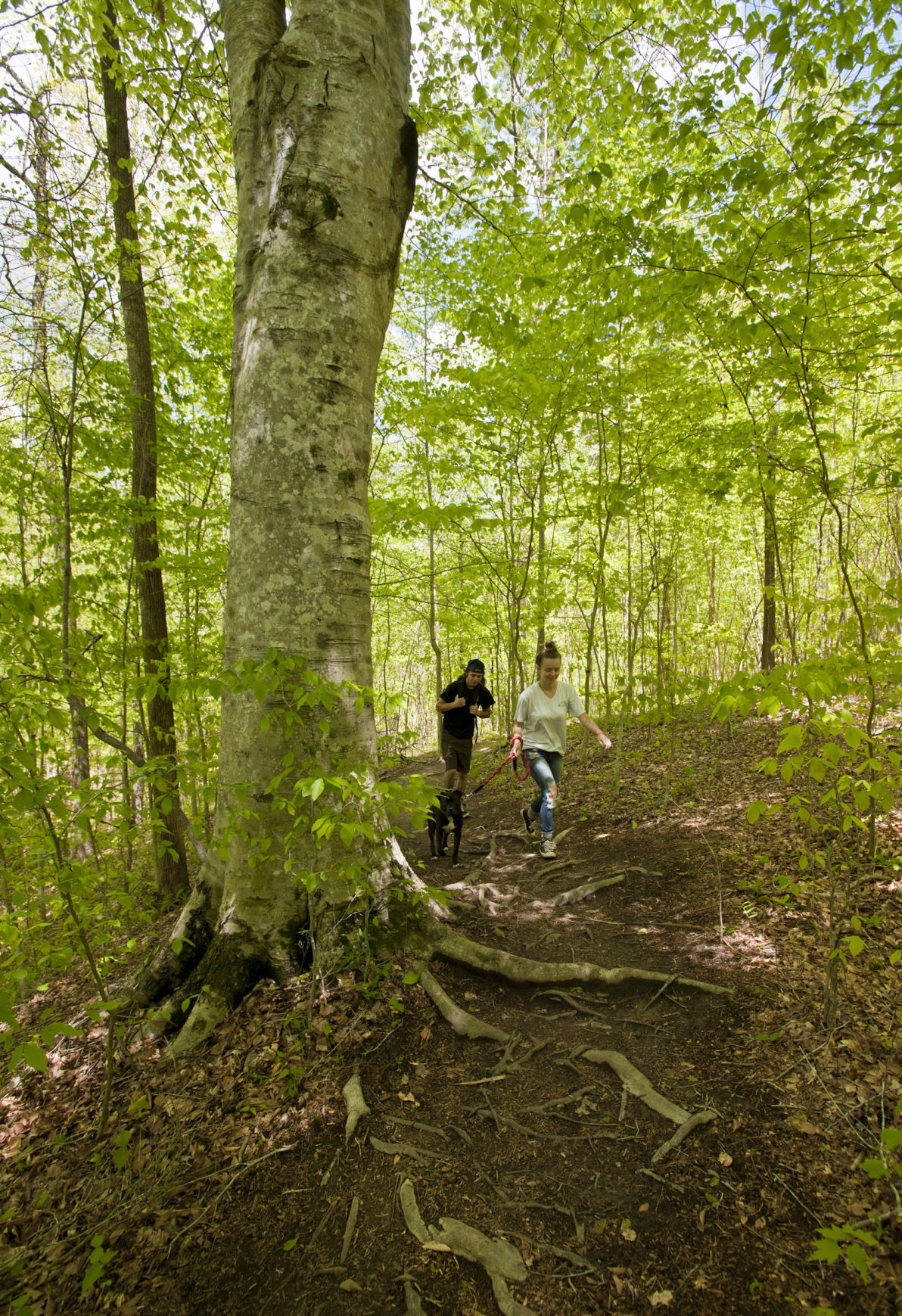 Cascades Preserve